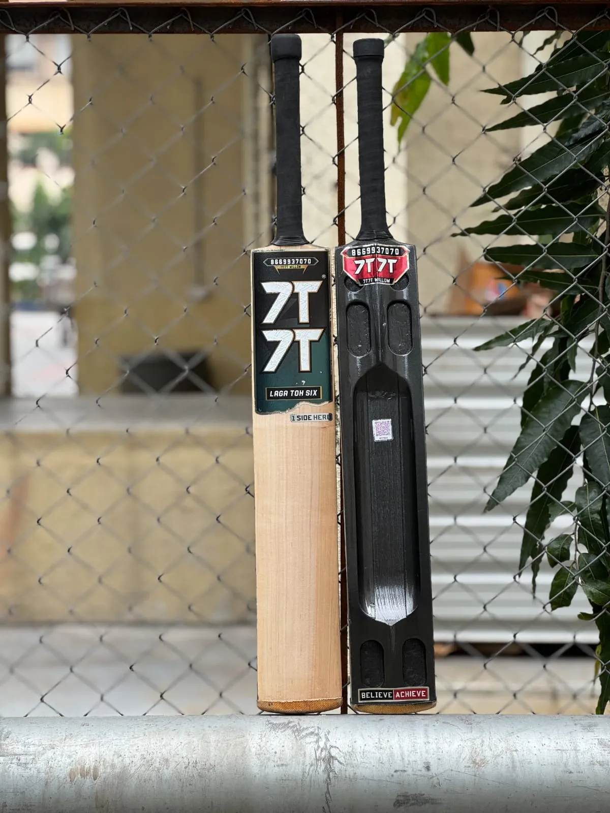 Cricket